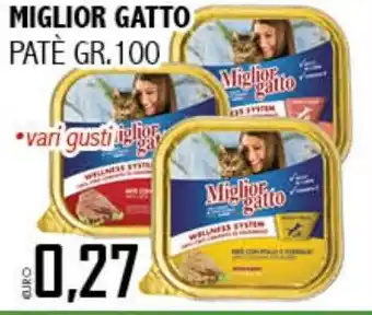 Big Food Miglior gatto patè offerta