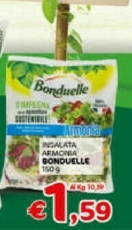 Crai Insalata offerta