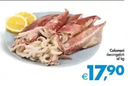 Deco Supermercati Calamari decongelati offerta