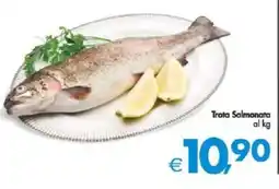 Deco Supermercati Trota Salmonata offerta