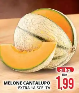 Mazzeo Giocattoli Melone cantalupo extra 1a scelta al kg. offerta