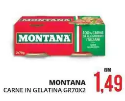 Mazzeo Giocattoli MONTANA Carne in gelatina offerta