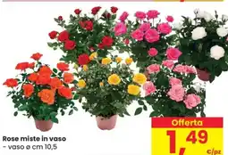 Despar Rose miste in vaso offerta