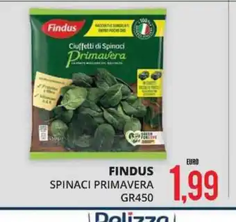 Mazzeo Giocattoli Findus spinaci primavera offerta