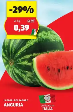 ALDI I colori del sapore anguria offerta