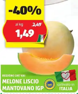 ALDI Regione che vai melone liscio mantovano igp offerta