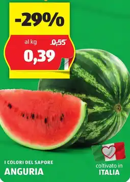ALDI I colori del sapore anguria offerta