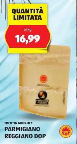ALDI Trentin gourmet parmigiano reggiano dop offerta
