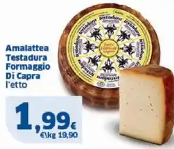 Sigma Amalattea Testadura Formaggio Di Capra offerta