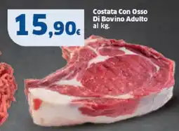 Sigma Costata Con Osso Di Bovino Adulto offerta