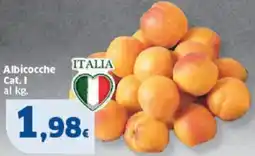 Sigma Albicocche offerta