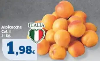 Sigma Albicocche offerta
