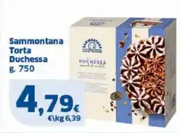 Sigma Sammontana Torta Duchessa offerta