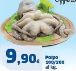 Sigma Polpo 100/200 offerta