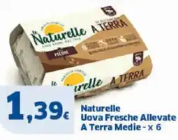 Sigma Naturelle Uova Fresche Allevate A Terra Medie offerta