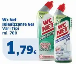 Sigma Wc Net Igienizzante Gel Vari Tipi offerta