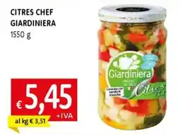 Galassia Citres chef giardiniera offerta