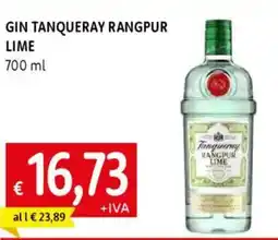 Galassia Gin tanqueray rangpur lime offerta