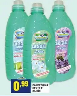 Risparmio Casa Candeggina gentile offerta