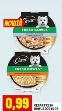 Risparmio Casa Cesar fresh bowls dog offerta