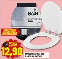 Risparmio Casa Copriwc soft close bianco offerta