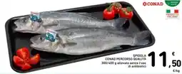 Spazio Conad Spigola conad percorso qualità offerta