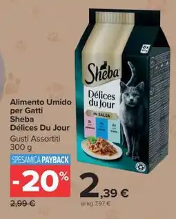Carrefour ALIMENTO UMIDO PER GATTI SHEBA DÉLICES DU JOUR offerta