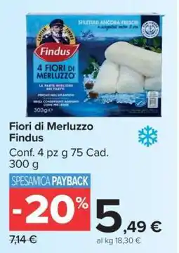 Carrefour FIORI DI MERLUZZO FINDUS offerta