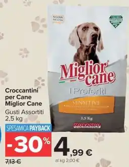 Carrefour Croccantini per Cane Miglior Cane offerta