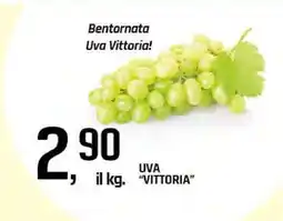 Famila Uva Vittoria offerta