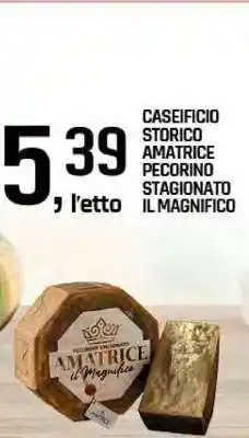 Famila Caseificio Storico Amatrice Pecorino Stagionato Il Magnifico offerta