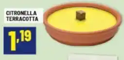 Risparmio Casa Citronella terracotta offerta