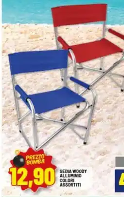 Risparmio Casa Sedia woody alluminio colori assortiti offerta