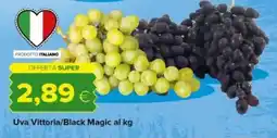 Tigre Uva Vittoria/Black Magic offerta