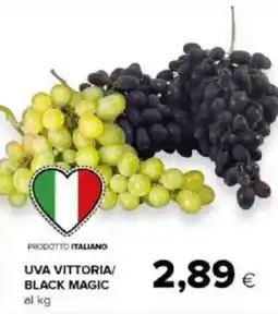 Tigre Uva vittoria/ black magic offerta