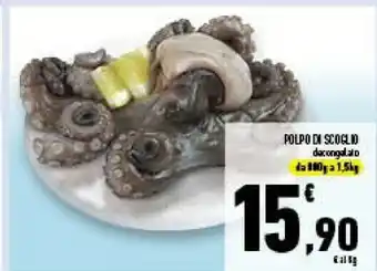 Conad Superstore Polpo di scoglio offerta