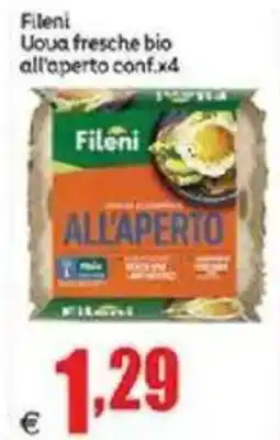 Elite Fileni Uova fresche bio all'aperto conf.x4 offerta
