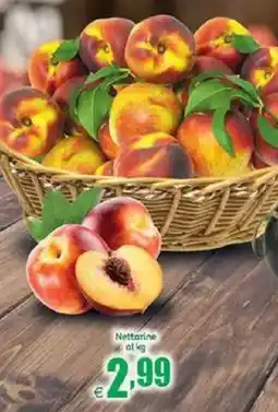 Elite Nettarine offerta