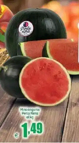 Elite Mini anguria Peria Nera offerta