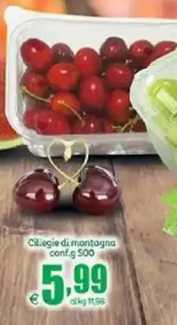 Elite Ciliegie di montagna offerta