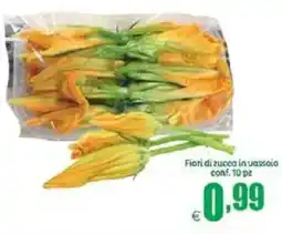 Elite Fiori di zucca in vassoio offerta