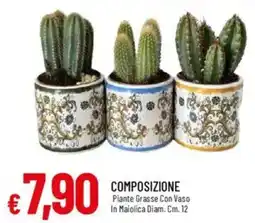 IperFamila Composizione piante grasse con vaso in maiolica offerta