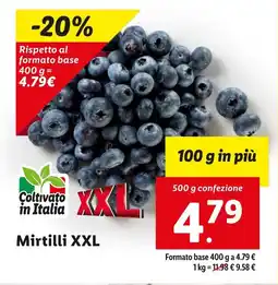 Lidl Mirtilli XXL offerta