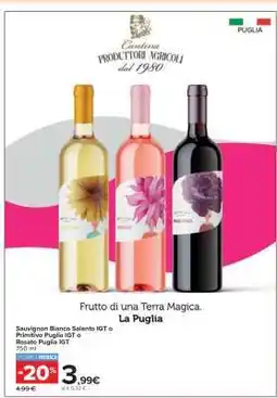 Carrefour Sauvignon Bianco Salento IGT o Primitivo Puglia IGT o Rosato Puglia IGT offerta