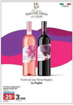 Carrefour Primitivo Puglia IGT o Rosato Puglia IGT offerta