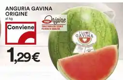 Coop ANGURIA GAVINA offerta