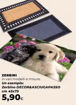 Ipercoop Zerbini offerta