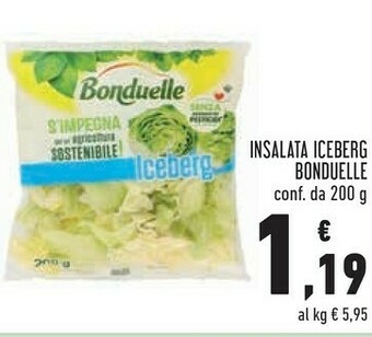 Conad City Insalata iceberg 210 g(ml) offerta