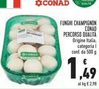 Conad City Funghi champignon offerta