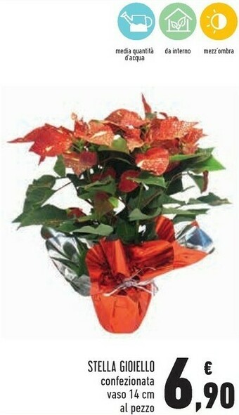 Conad City Stella gioiello offerta